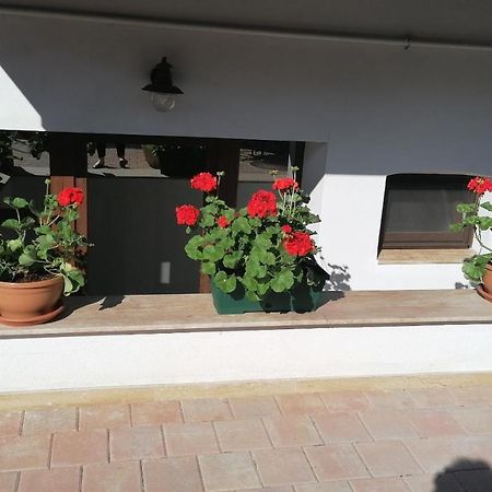 Ana Boutique Bed and Breakfast Alba Iulia Exteriör bild