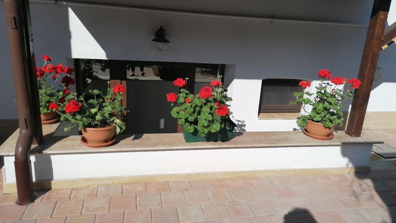Ana Boutique Bed and Breakfast Alba Iulia Exteriör bild